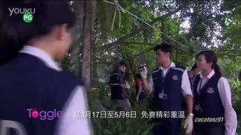 警徽天职2,守护正义——警徽天职2英勇事迹纪实